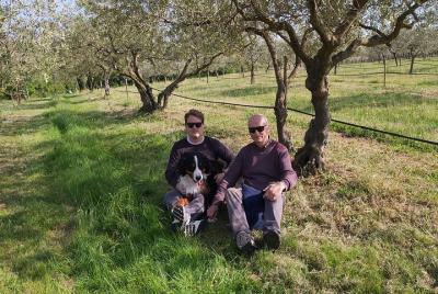 Private tour: Premium Istrian olive oil tasting and grove tour ex