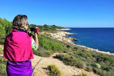 Kamenjak Peninsula Bike Tour and Optional Wine Tasting from Pula Kamenjak Peninsula Bike Tour and Optional Wine Tasting from Pula