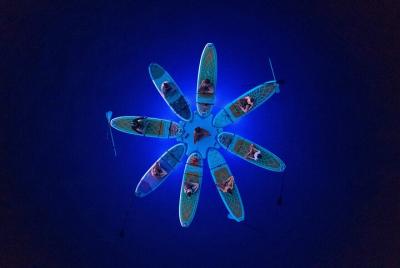 SUP YOGA Night Glow classes at Ambrela beach, Pula SUP YOGA Night Glow classes at Ambrela beach, Pula
