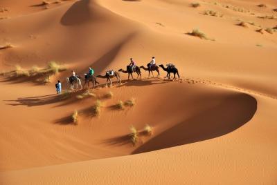 Merzouga 3 Days / 2 Nights Tour from Marrakesh