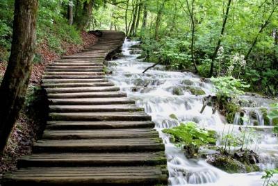 Plitvice Lakes Small Group Tour from Split or Trogir  Plitvice Lakes Small Group Tour from Split or Trogir