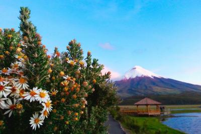 Cotopaxi Full-Day Small Group Tour from Quito Cotopaxi Full-Day Small Group Tour from Quito
