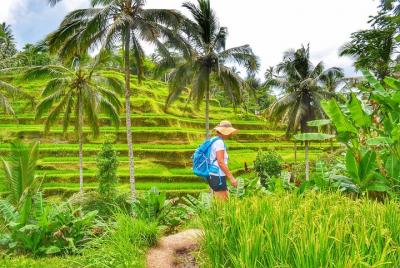 Private Shore Excursion 