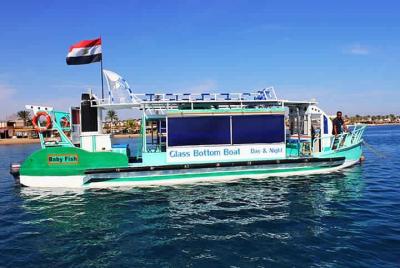 Glass Boat Trip from Dahab  Glass Boat Trip from Dahab