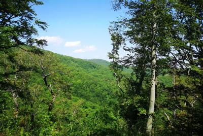 Perceive Zagreb Like a Local - Medvednica Nature Park Hiking Perceive Zagreb Like a Local - Medvednica Nature Park Hiking