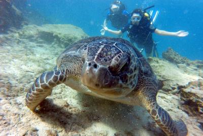 Discover Scuba diving Discover Scuba diving