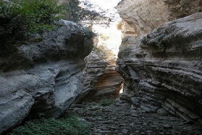 Day Trip by Mini Bus to Akamas From Paphos Day Trip by Mini Bus to Akamas From Paphos