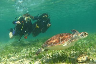 Discover Scuba Diving Discover Scuba Diving