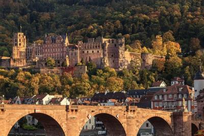 Heidelberg Half-Day Trip and Frankfurt City Roundtrip