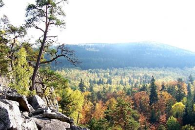 Kid friendly day near Cesky Krumlov - give them a day off!