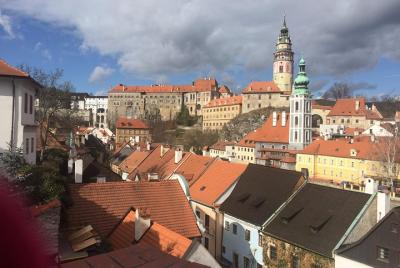 Private walking tour to the Cesky Krumlov Old Town and Castle Grounds 4 hours 