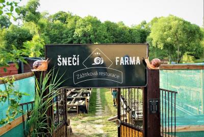 Gastrotour: snail’s farm with degustation
