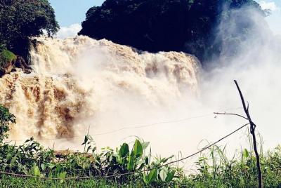 4 days Zongo falls, Bonobos and Kinshasa city experience 4 days Zongo falls, Bonobos and Kinshasa city experience