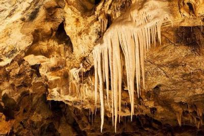 Bouzov Castle and Javoricko Caves Hiking tour from Olomouc