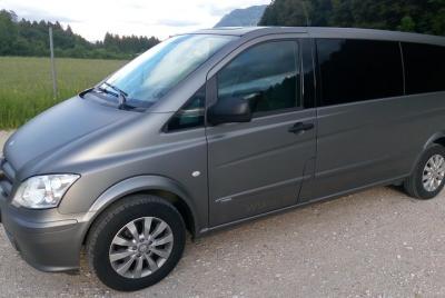 Private one way transfer from Cesky Krumlov to Vienna