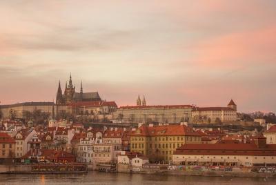 Small Group Walking Tour in Prague Castle 