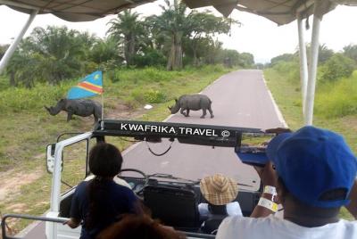 3 days Kinshasa Congo River and N’sele park experience 3 days Kinshasa Congo River and N’sele park experience