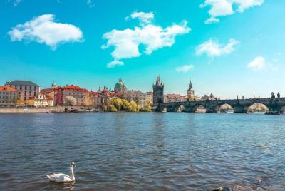 Private Airport Transfer: Vaclav Havel Airport Prague (PRG) to Prague