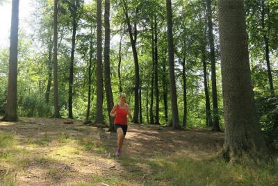 Trail Running Adventure from Nørreport Station