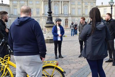 Cycle like a Viking in Copenhagen - Private Tour in Spanish