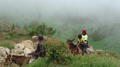 Cloud Forest Mountain - Bird watching and botanic trails