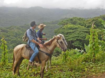 Horseback riding in the mountains of Paraiso