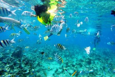 Snorkeling tour & Sosua Beach Day Snorkeling tour & Sosua Beach Day