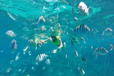Discover Sosua Discover Sosua's Underwater World & Beach Day
