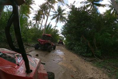 Buggy Tour from Sosua Buggy Tour from Sosua