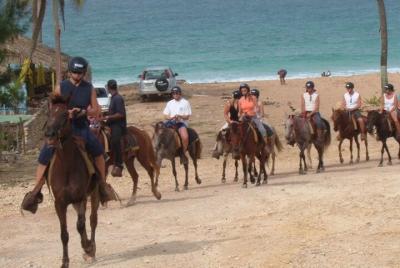 Amazing 3-Hour Horseback Riding at Puerto Plata with Pickup Amazing 3-Hour Horseback Riding at Puerto Plata with Pickup