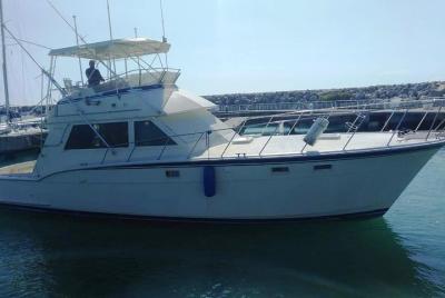 Deep Sea Fishing in Sosua