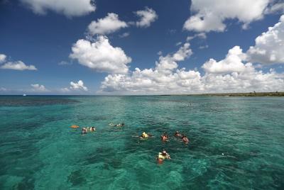 Catalina Snorkel from Juan Dolio