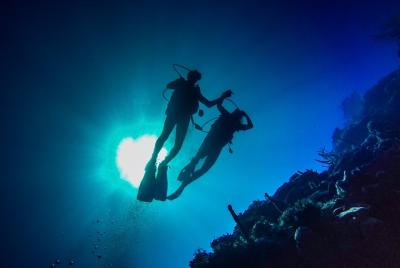 Full-Day Scuba Diving Catalina Island Tour from Bavaro