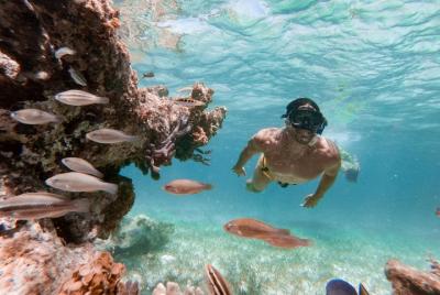 Marinarium Snorkeling Cruise from Punta Cana