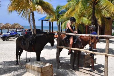 Horseback Riding an Cave swimming From Bayahibe  Horseback Riding an Cave swimming From Bayahibe