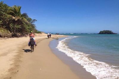 Puerto Plata: Beach Half Day Horseback Riding  Puerto Plata: Beach Half Day Horseback Riding