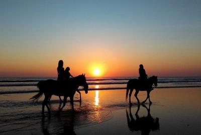 Puerto Plata: Sunset Beach Horseback Riding Puerto Plata: Sunset Beach Horseback Riding