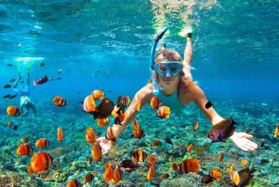 Full-Day Trip to Catalina with Snorkelling from Punta Cana Full-Day Trip to Catalina with Snorkelling from Punta Cana
