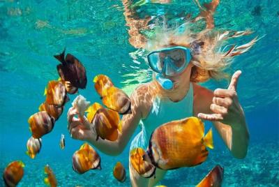 Catalina Island Full Day Tour with Snorkeling Catalina Island Full Day Tour with Snorkeling
