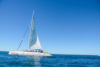 Saona Island Day Tour by Conexion Viajes Saona Island Day Tour by Conexion Viajes