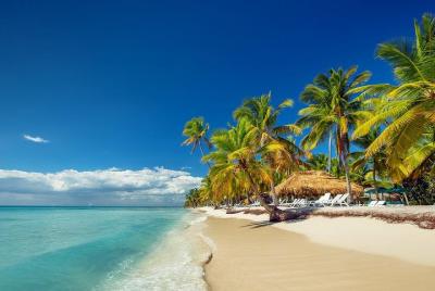 Saona Island Day Tour Saona Island Day Tour