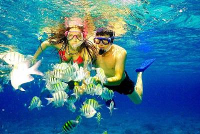 Catalina Island and Snorkeling Tour Catalina Island and Snorkeling Tour
