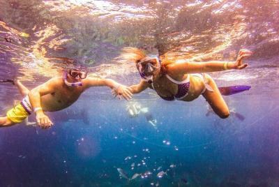 Full-Day Catalina Island Snorkeling Tour from Punta Cana Full-Day Catalina Island Snorkeling Tour from Punta Cana