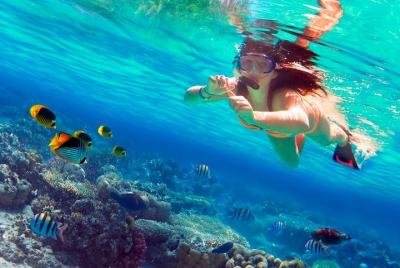 Saona Island and Mano Juan Tour with Lunch, Snorkelling and Pick-up 