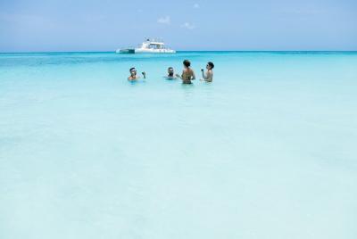 Full-Day Private Tour to Saona Island from Bavaro with Lunch 