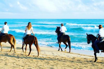 Horseback riding on the beach punta cana Horseback riding on the beach punta cana