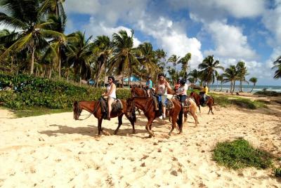 Horseback Riding Adventure Punta Cana Horseback Riding Adventure Punta Cana