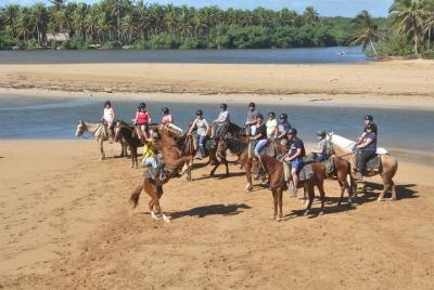 Horseback Riding Tour from Punta Cana Horseback Riding Tour from Punta Cana