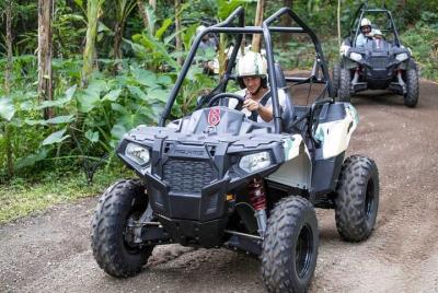 Punta Cana Buggy Private Tour Punta Cana Buggy Private Tour