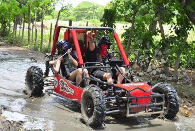 Countryside Tour with Buggy and Horseback Ride from Punta Cana Countryside Tour with Buggy and Horseback Ride from Punta Cana